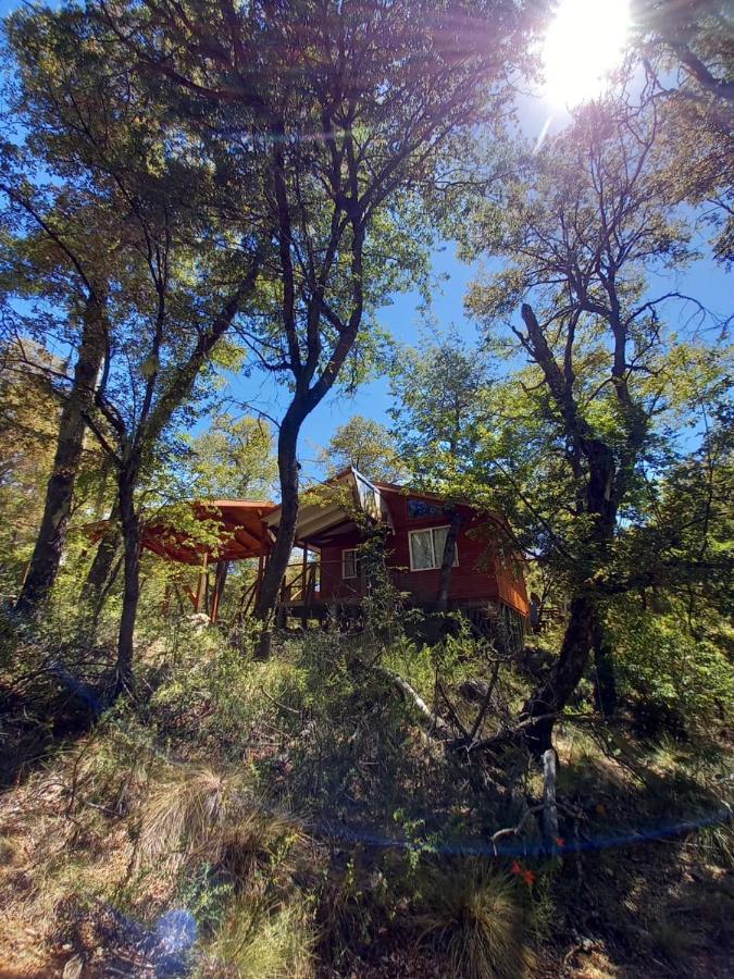 Cabanas Kalinaw Las Trancas Exterior foto