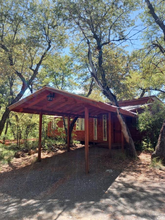 Cabanas Kalinaw Las Trancas Exterior foto